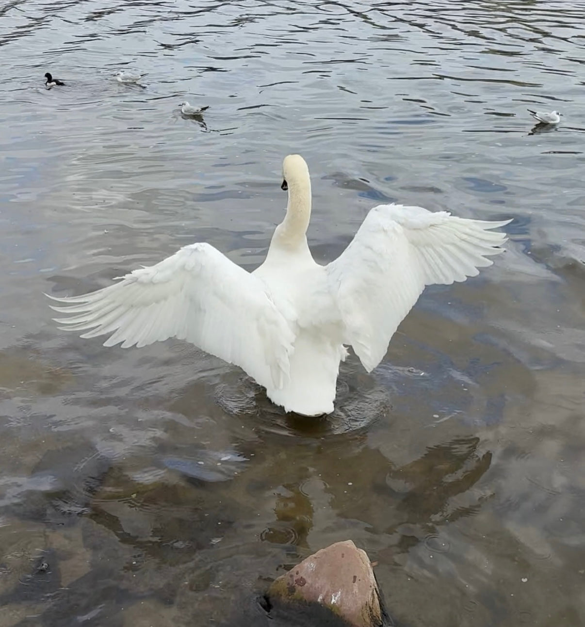 Swan Wing Pendant image 3